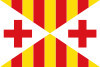 Bandera de Vich (Vic)