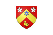 Bandera de Marcilly-en-Beauce