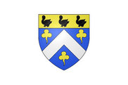 Flag Pontault-Combault