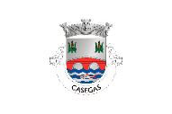 Bandeira de Casegas