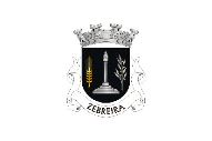 Flag Zebreira