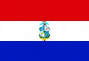 Bandera de San Miguel (El Salvador)