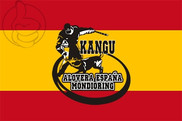 Bandera de Kangu - España
