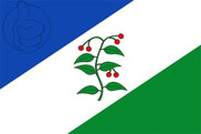 Bandera de Arbúcies