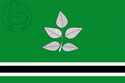 Bandera de Vidrà