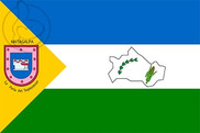 Bandera de Matagalpa