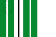 Bandera de Sant Martí de Torroella