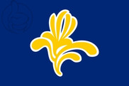 Bandera de Región de Bruselas-Capital
