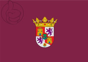 Bandera de Puerto Real