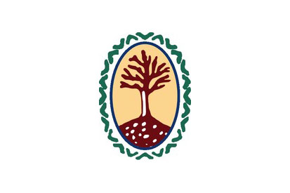 Flag Vinebre