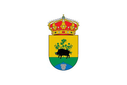 Flag Nava de Ricomalillo, La