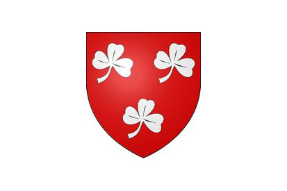 Flag Buzançais