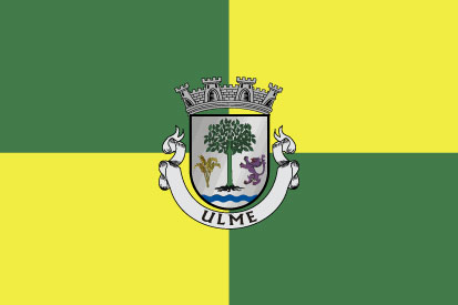 Bandera Vila de Ulme