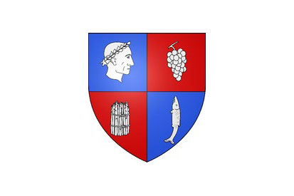 Bandera Soings-en-Sologne