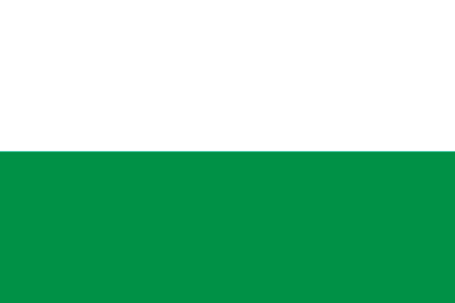 Flag Tegueste oficial