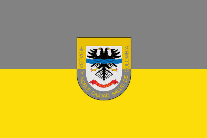 Bandeira Tocaima