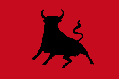 Bandera Toro personalizada