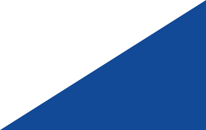 Flag Pontevedra Oficial S/E