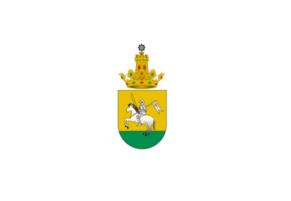 Flag Escudo Medina