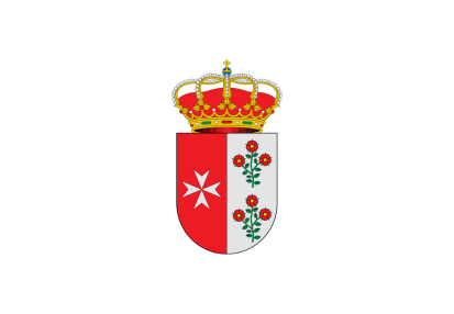 Flag Escudo Tocina