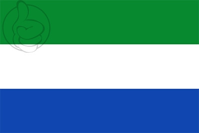 Bandera Palmar de Varela