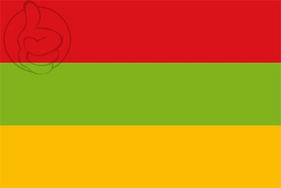 Bandera Toca