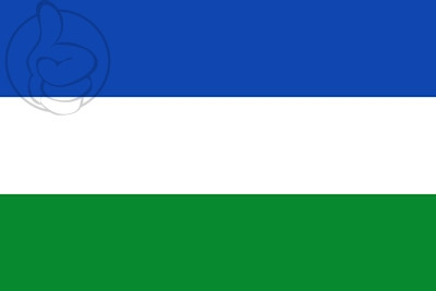 Bandera Viracachá