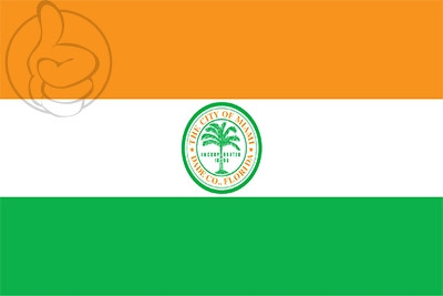 Bandera Miami