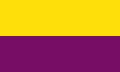 Flag Torrejón de Ardoz