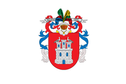 Flag Irun