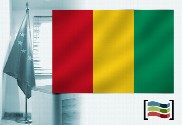 Bandeira da Guiné para despacho
