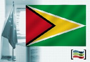 Bandeira da Guiana para despacho