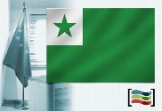 Bandeira da Esperanto para despacho