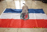 Bandeira de La Araucania