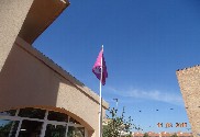 Bandeira de Leonesismo