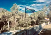 Flag Gay Estelada